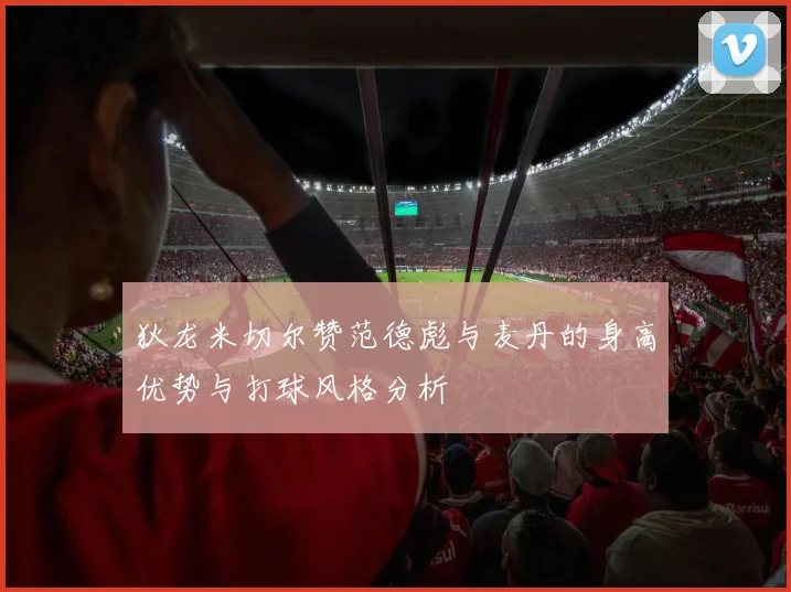 狄龙米切尔赞范德彪与麦丹的身高优势与打球风格分析